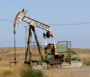 Zebr a Oil
